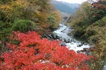 夏井川渓谷natuigawa a glen13